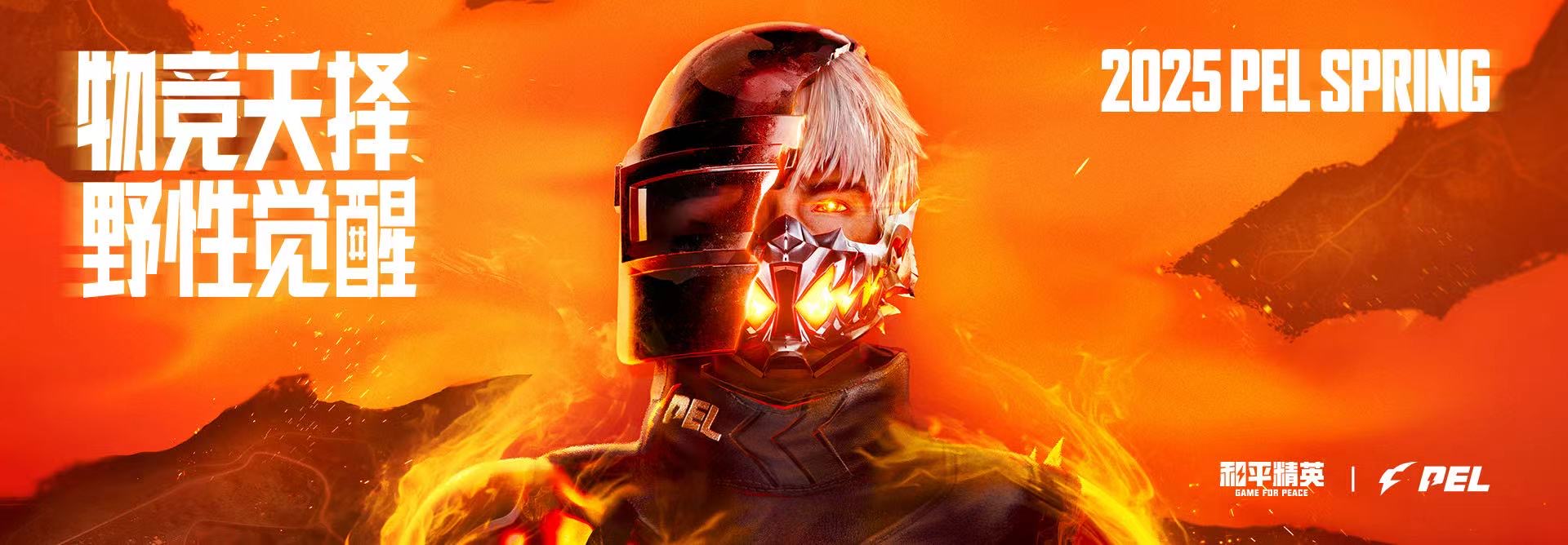 和平精英游戏中最近发现的和平精英辅助工具介